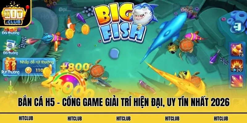 Bắn cá H5 - Cổng game giải trí hiện đại, uy tín nhất 2026