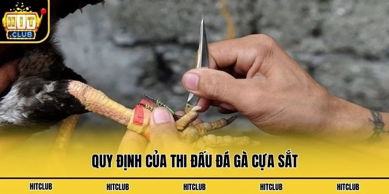 Quy định của thi đấu đá gà cựa sắt